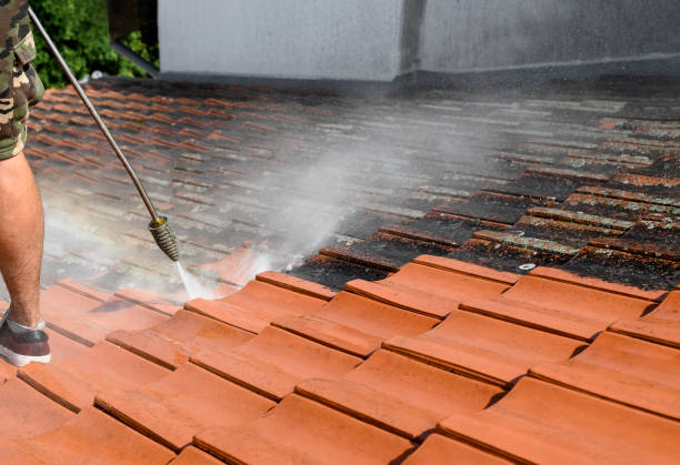 Best Pressure Washing Contractors  in Neuse Forest, NC